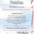 Powiększ obraz: certificate 4