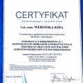 Powiększ obraz: certificate 16