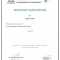 Powiększ obraz: certificate 20