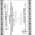 Powiększ obraz: certificate 4