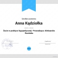 Powiększ obraz: certificate 5