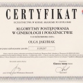 Powiększ obraz: certificate 13
