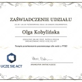 Powiększ obraz: certificate 11