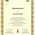 Powiększ obraz: certificate 14