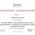 Powiększ obraz: certificate 9
