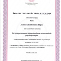 Powiększ obraz: certificate 2