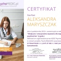 Powiększ obraz: certificate 2