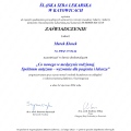 Powiększ obraz: certificate 33
