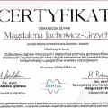 Powiększ obraz: certificate 11