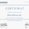 Powiększ obraz: certificate 5