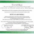 Powiększ obraz: certificate 14