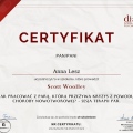 Powiększ obraz: certificate 3
