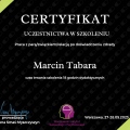 Powiększ obraz: certificate 2