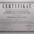Powiększ obraz: certificate 17