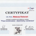 Powiększ obraz: certificate 7