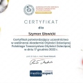 Powiększ obraz: certificate 13