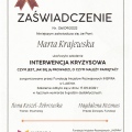 Powiększ obraz: certificate 5
