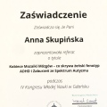 Powiększ obraz: certificate 2