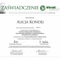 Powiększ obraz: certificate 28