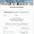 Powiększ obraz: certificate 13
