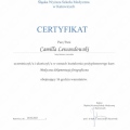 Powiększ obraz: certificate 9