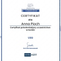 Powiększ obraz: certificate 1