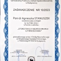 Powiększ obraz: certificate 2
