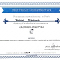 Powiększ obraz: certificate 13
