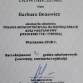 Powiększ obraz: certificate 8