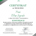 Powiększ obraz: certificate 6