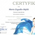 Powiększ obraz: certificate 1