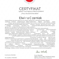 Powiększ obraz: certificate 10