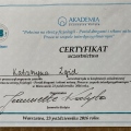 Powiększ obraz: certificate 1