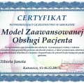 Powiększ obraz: certificate 2