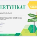 Powiększ obraz: certificate 7