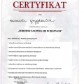 Powiększ obraz: certificate 2