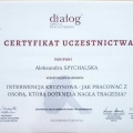 Powiększ obraz: certificate 3