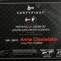 Powiększ obraz: certificate 3