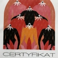 Powiększ obraz: certificate 4