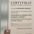 Powiększ obraz: certificate 11