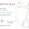 Powiększ obraz: certificate 8
