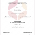 Powiększ obraz: certificate 3