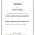 Powiększ obraz: certificate 25