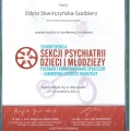 Powiększ obraz: certificate 2