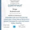 Powiększ obraz: certificate 5
