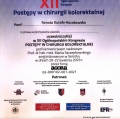 Powiększ obraz: certificate 1