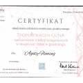 Powiększ obraz: certificate 2