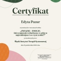 Powiększ obraz: certificate 9