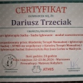 Powiększ obraz: certificate 2