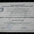 Powiększ obraz: certificate 1